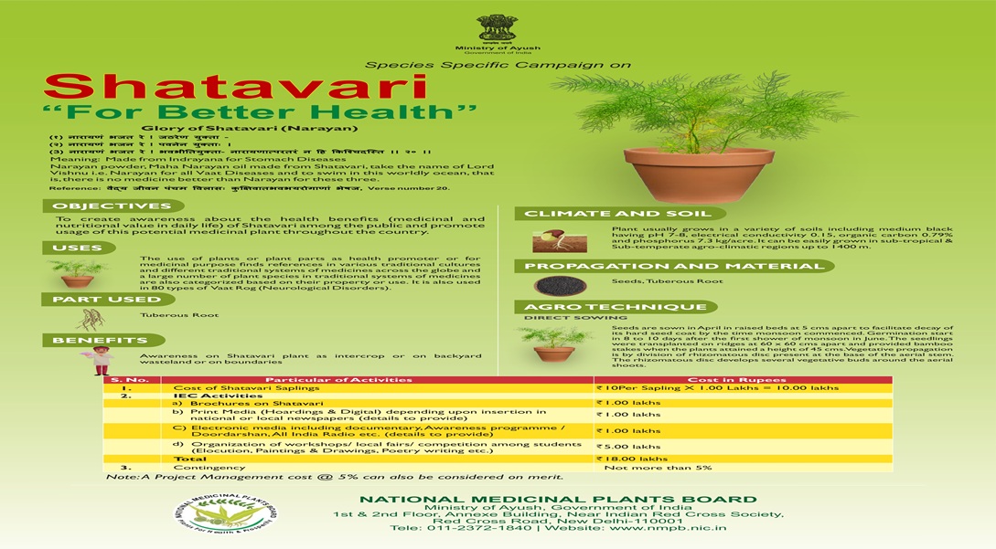 Shatavari- for better Health